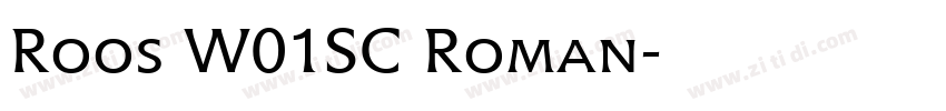 Roos W01SC Roman字体转换